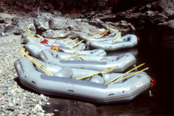 american river rafting